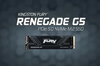 Kingston_Fury