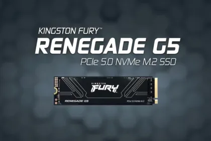 Kingston_Fury