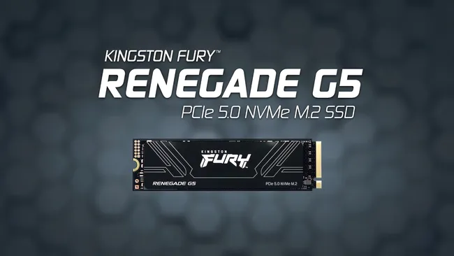 Kingston_Fury